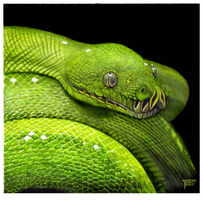 Green Python 12”x12” watercolor print.